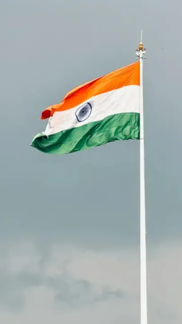 What do the saffron, white, Picture