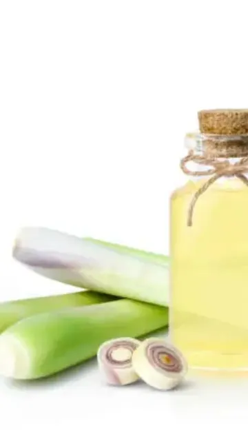 What happens when you light Picture