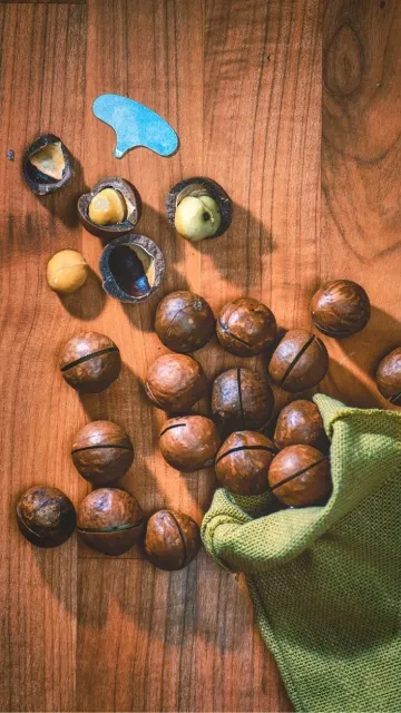 Who should avoid macadamia nuts? Picture