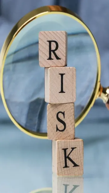 World Economic Forum flags top Picture