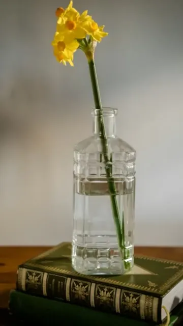 Your Ultimate Spring 2026 Reading Picture